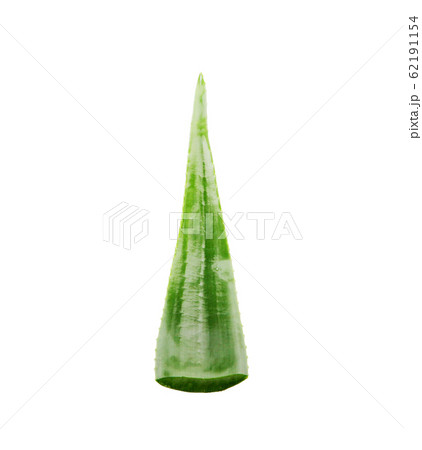 Aloe Vera On White Background 62191154