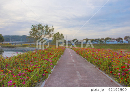 農場 農業 土地 62192900