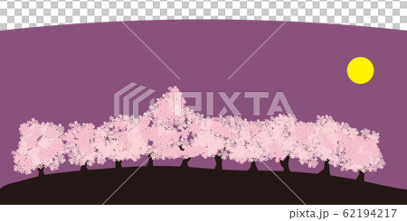 夜桜の並木道 月のイラスト素材