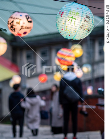 ivy plant isolate on wall ivy plant isolate on wall 62194388