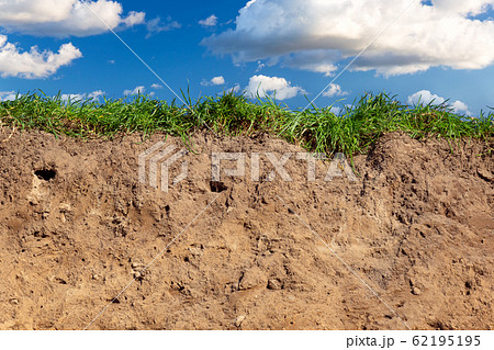 Topsoil of a Cambisol or Inceptisol 62195195