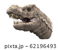 ティラノサウルス ティラノサウルス 62196493
