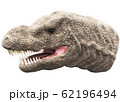 ティラノサウルス ティラノサウルス 62196494