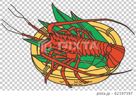 Shrimp Ise / Lobster @ lobster 62197397