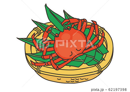 松葉カニ　crab 62197398