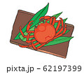 松葉カニ　crab 62197399