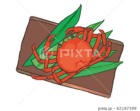 松葉カニ crab 松葉カニ crab 62197399