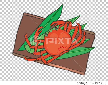 松葉カニ crab 松葉カニ crab 62197399