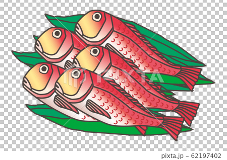 Golden bream alfonsino 62197402