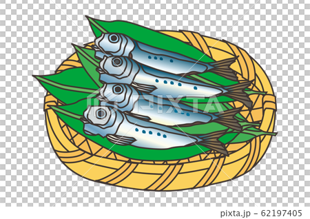 Sardine / sardine 62197405