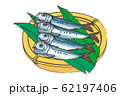 イワシ／鰯　sardine 62197406
