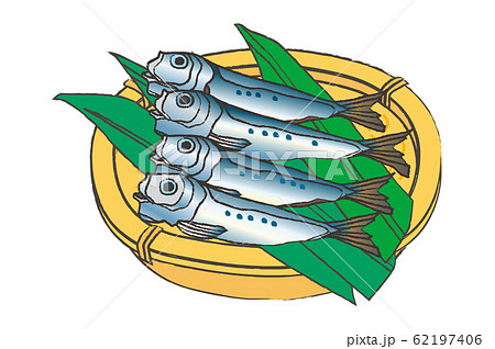 イワシ／鰯　sardine 62197406