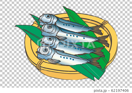 Sardine / sardine 62197406