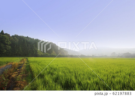 能登の田園風景 62197883