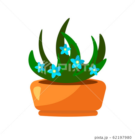 Cartoon green house plants in pots set. Leaf and flowers icon. Flowerpot isolated objects, houseplant flower pot collection. Vector illustration Cartoon green house plants in pots set. Leaf and flowers icon. Flowerpot isolated objects, houseplant flower pot collection. Vector illustration 62197980