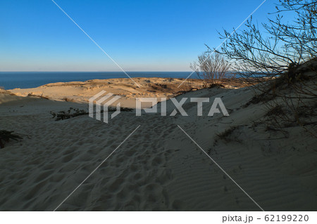 Sunset view of nordic dunes and bushes at Baltic sea at Curonian spit, Nida, Klaipeda, Lithuania Sunset view of nordic dunes and bushes at Baltic sea at Curonian spit, Nida, Klaipeda, Lithuania 62199220