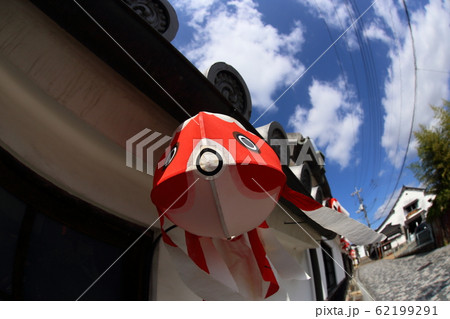 柳井の金魚提灯 柳井の金魚提灯 62199291