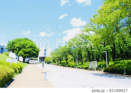 中央大学　青と緑 62199627