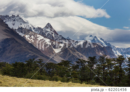 Patagonia Patagonia 62201456