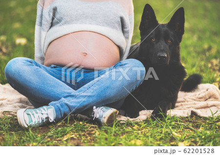 Pregnant woman and her dog playing in the park. Pregnant woman and her dog playing in the park. 62201528