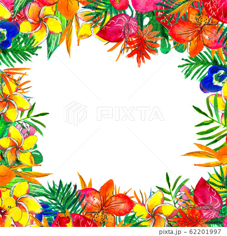 Watercolor Background with tropical plants and flowers Watercolor Background with tropical plants and flowers 62201997