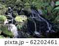 small forrest river and waterfall landscape 62202461