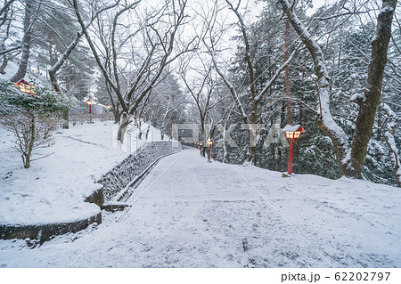 Pathway with snow trees tunnel corridor and Pathway with snow trees tunnel corridor and 62202797