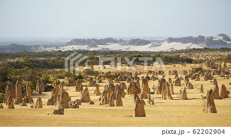 パースへ行ったらぜひ訪れたい奇岩群ピナクルズ　西オーストラリア 62202904