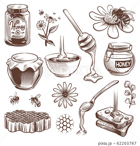 Hand drawn honey. Beekeeping sketch natural organic sweet food honey, pollen and beeswax, hive bee vintage vector set 62203767