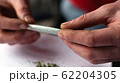 make a roll of cannabis herb. hemp roll closeup 62204305