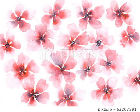 Delicate watercolor red and pink floral background 62207591