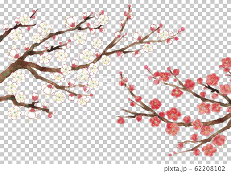 梅の枝_03 梅の枝_03 62208102