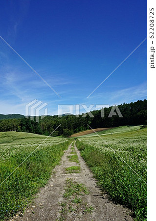絶景の蕎麦畑 初夏の信州中山高原 62208725