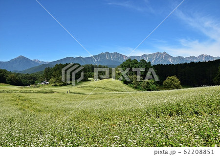 絶景の蕎麦畑 初夏の信州中山高原と北アルプス 62208851