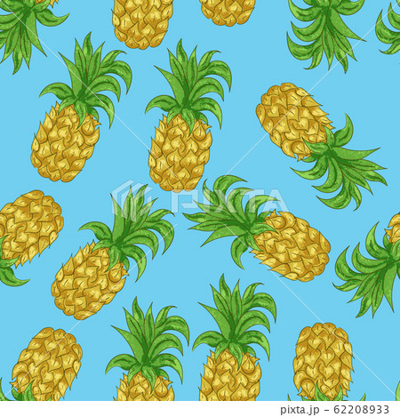 Pineapple seamless pattern in the cartoon style on a blue background 62208933
