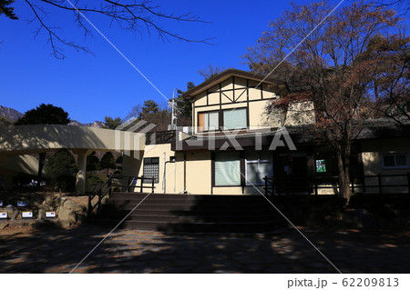 城北区 北朝鮮産 ボヒョンボン 62209813