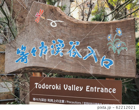 世田谷区・等々力渓谷 世田谷区・等々力渓谷 62212021