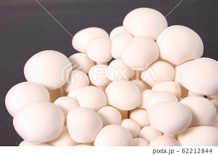 白ぶなしめじ 白ぶなしめじ 62212844