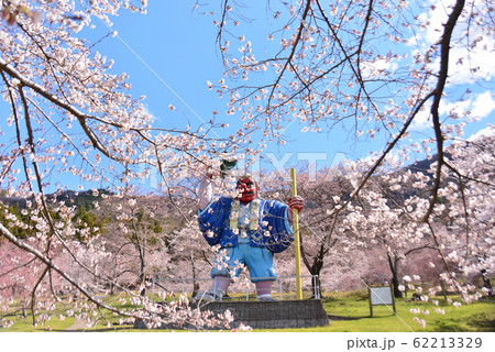 満開の桜を愛でる大きな天狗 62213329