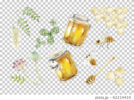 はちみつ カットイラスト セット 水彩 イラスト はちみつ カットイラスト セット 水彩 イラスト 62214419