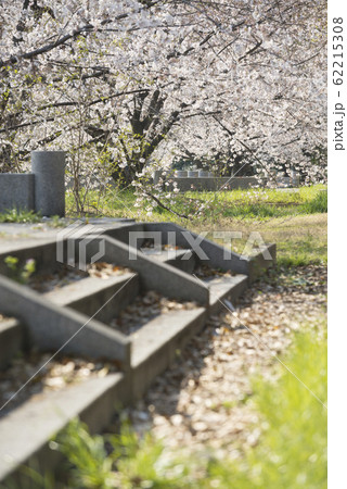 難波宮跡公園 62215308
