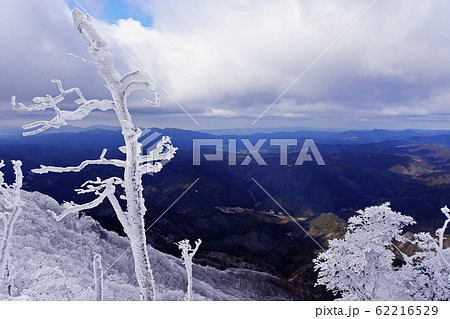 高見山の霧氷 高見山の霧氷 62216529