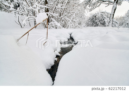 Winter park in snow. Beautiful winter trees Winter park in snow. Beautiful winter trees 62217012