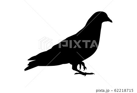 動物シルエット鳥ハト1のイラスト素材