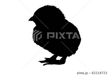 動物シルエット鳥ニワトリ4 動物シルエット鳥ニワトリ4 62218723