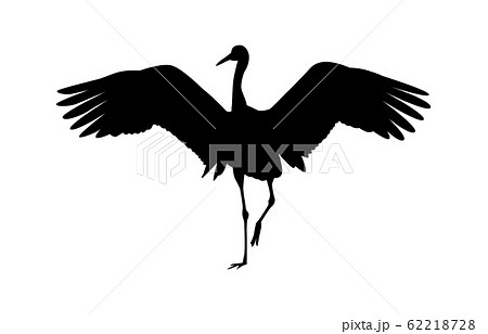 動物シルエット鳥ツル1 62218728