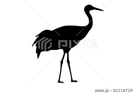 動物シルエット鳥ツル2 62218729