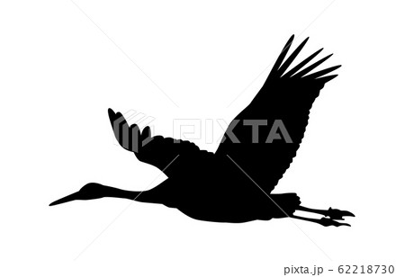動物シルエット鳥ツル3 62218730