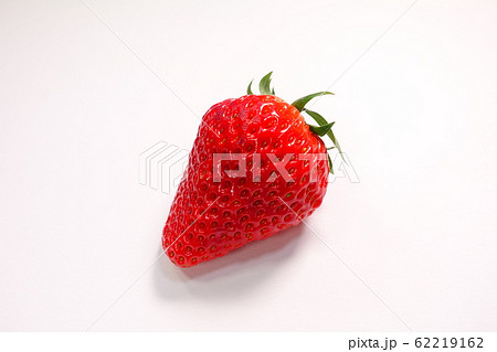 イチゴ いちご 苺 イチゴ いちご 苺 62219162