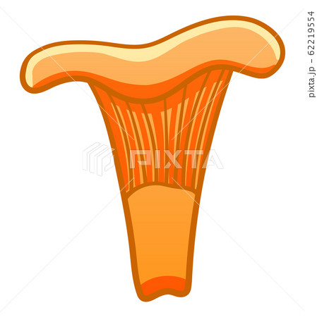 Cartoon style isolated Chanterelle Mushroom on Cartoon style isolated Chanterelle Mushroom on 62219554